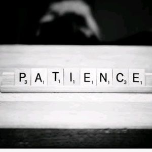 Meet your Posher, Shazli